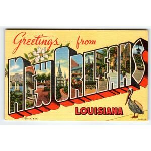 Greetings From New Orleans Louisiana Large Letter Postcard Linen Pelican 1956